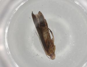  ( - BIOUG80673-B10)  @11 [ ] CreativeCommons - Attribution (2022) Centre for Biodiversity Genomics Centre for Biodiversity Genomics