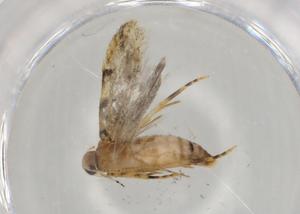  ( - BIOUG80673-C08)  @11 [ ] CreativeCommons - Attribution (2022) Centre for Biodiversity Genomics Centre for Biodiversity Genomics