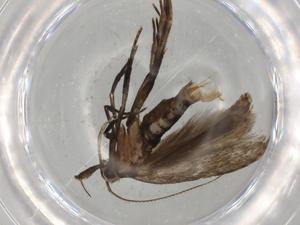  ( - BIOUG81017-F08)  @11 [ ] CreativeCommons - Attribution (2022) Centre for Biodiversity Genomics Centre for Biodiversity Genomics