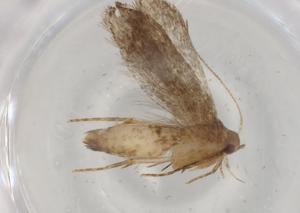  ( - BIOUG81074-B02)  @11 [ ] CreativeCommons - Attribution (2022) Centre for Biodiversity Genomics Centre for Biodiversity Genomics