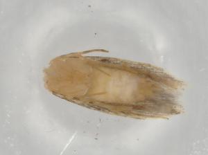  ( - BIOUG81627-F11)  @11 [ ] CreativeCommons - Attribution (2022) Centre for Biodiversity Genomics Centre for Biodiversity Genomics