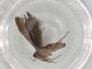  ( - BIOUG82307-E10)  @11 [ ] CreativeCommons - Attribution (2022) Centre for Biodiversity Genomics Centre for Biodiversity Genomics