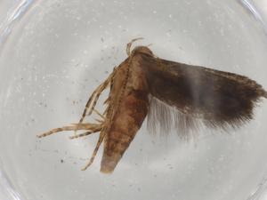  ( - BIOUG82350-E06)  @11 [ ] CreativeCommons - Attribution (2022) Centre for Biodiversity Genomics Centre for Biodiversity Genomics