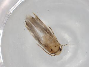  ( - BIOUG82651-E04)  @11 [ ] CreativeCommons - Attribution (2022) Centre for Biodiversity Genomics Centre for Biodiversity Genomics