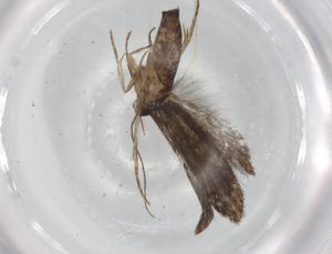  ( - BIOUG85397-G10)  @11 [ ] CreativeCommons - Attribution (2022) Centre for Biodiversity Genomics Centre for Biodiversity Genomics