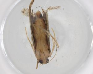  ( - BIOUG85882-B02)  @11 [ ] CreativeCommons - Attribution (2022) Centre for Biodiversity Genomics Centre for Biodiversity Genomics