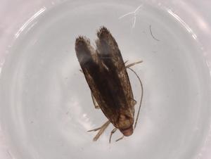  ( - BIOUG65894-C03)  @11 [ ] CreativeCommons - Attribution (2021) Centre for Biodiversity Genomics Centre for Biodiversity Genomics