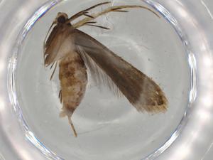  ( - BIOUG67587-B02)  @11 [ ] CreativeCommons - Attribution (2021) Centre for Biodiversity Genomics Centre for Biodiversity Genomics