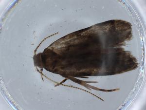  ( - BIOUG67800-G08)  @11 [ ] CreativeCommons - Attribution (2021) Centre for Biodiversity Genomics Centre for Biodiversity Genomics