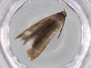  ( - BIOUG68314-E02)  @11 [ ] CreativeCommons - Attribution (2021) Centre for Biodiversity Genomics Centre for Biodiversity Genomics