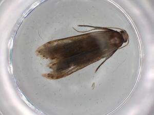  ( - BIOUG68649-A05)  @11 [ ] CreativeCommons - Attribution (2021) Centre for Biodiversity Genomics Centre for Biodiversity Genomics