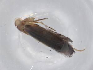  ( - BIOUG68700-G11)  @11 [ ] CreativeCommons - Attribution (2021) Centre for Biodiversity Genomics Centre for Biodiversity Genomics