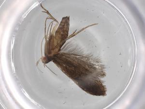  ( - BIOUG70012-A05)  @11 [ ] CreativeCommons - Attribution (2021) Centre for Biodiversity Genomics Centre for Biodiversity Genomics