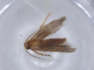  ( - BIOUG59880-F02)  @11 [ ] CreativeCommons - Attribution (2021) Centre for Biodiversity Genomics Centre for Biodiversity Genomics