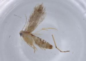  ( - BIOUG64687-A12)  @11 [ ] CreativeCommons - Attribution (2021) Centre for Biodiversity Genomics Centre for Biodiversity Genomics