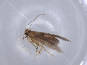  ( - BIOUG66403-C08)  @11 [ ] CreativeCommons - Attribution (2021) Centre for Biodiversity Genomics Centre for Biodiversity Genomics