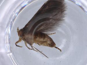  ( - BIOUG66830-E12)  @11 [ ] CreativeCommons - Attribution (2021) Centre for Biodiversity Genomics Centre for Biodiversity Genomics