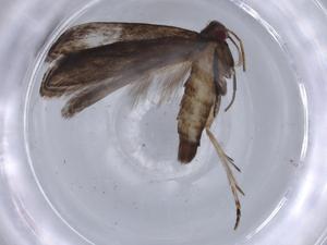  ( - BIOUG66830-H04)  @11 [ ] CreativeCommons - Attribution (2021) Centre for Biodiversity Genomics Centre for Biodiversity Genomics