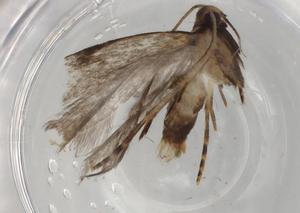  ( - BIOUG72297-H03)  @11 [ ] CreativeCommons - Attribution (2021) Centre for Biodiversity Genomics Centre for Biodiversity Genomics