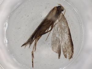  ( - BIOUG72298-A02)  @11 [ ] CreativeCommons - Attribution (2021) Centre for Biodiversity Genomics Centre for Biodiversity Genomics