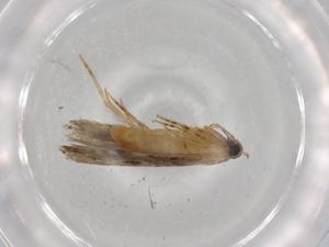  ( - BIOUG72780-E10)  @11 [ ] CreativeCommons - Attribution (2021) Centre for Biodiversity Genomics Centre for Biodiversity Genomics