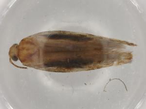  ( - BIOUG72783-C09)  @11 [ ] CreativeCommons - Attribution (2021) Centre for Biodiversity Genomics Centre for Biodiversity Genomics