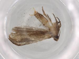  ( - BIOUG73523-E06)  @11 [ ] CreativeCommons - Attribution (2021) Centre for Biodiversity Genomics Centre for Biodiversity Genomics