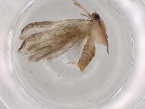  ( - BIOUG73523-E07)  @11 [ ] CreativeCommons - Attribution (2021) Centre for Biodiversity Genomics Centre for Biodiversity Genomics