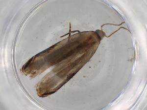  ( - BIOUG73866-H08)  @11 [ ] CreativeCommons - Attribution (2021) Centre for Biodiversity Genomics Centre for Biodiversity Genomics