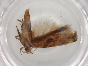  ( - BIOUG73473-E01)  @11 [ ] CreativeCommons - Attribution (2021) Centre for Biodiversity Genomics Centre for Biodiversity Genomics