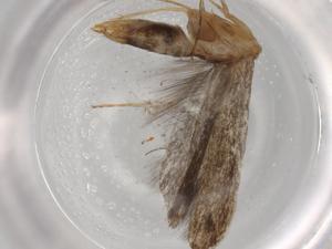  ( - BIOUG73773-H05)  @11 [ ] CreativeCommons - Attribution (2021) Centre for Biodiversity Genomics Centre for Biodiversity Genomics