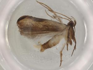  ( - BIOUG74069-B09)  @11 [ ] CreativeCommons - Attribution (2021) Centre for Biodiversity Genomics Centre for Biodiversity Genomics