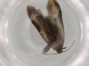  ( - BIOUG74069-E10)  @11 [ ] CreativeCommons - Attribution (2021) Centre for Biodiversity Genomics Centre for Biodiversity Genomics