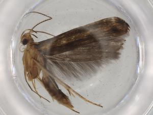  ( - BIOUG74109-B08)  @11 [ ] CreativeCommons - Attribution (2021) Centre for Biodiversity Genomics Centre for Biodiversity Genomics