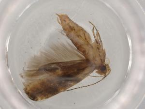  ( - BIOUG74244-B02)  @11 [ ] CreativeCommons - Attribution (2021) Centre for Biodiversity Genomics Centre for Biodiversity Genomics