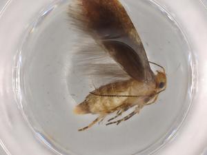  ( - BIOUG74725-D03)  @11 [ ] CreativeCommons - Attribution (2021) Centre for Biodiversity Genomics Centre for Biodiversity Genomics