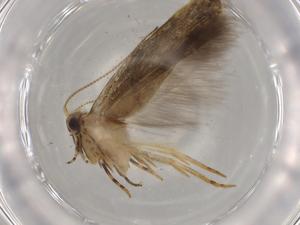  ( - BIOUG72698-F06)  @11 [ ] CreativeCommons - Attribution (2021) Centre for Biodiversity Genomics Centre for Biodiversity Genomics