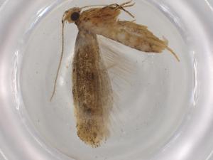  ( - BIOUG75406-E02)  @11 [ ] CreativeCommons - Attribution (2021) Centre for Biodiversity Genomics Centre for Biodiversity Genomics