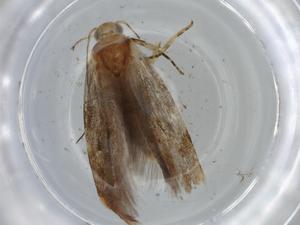  ( - BIOUG74440-H07)  @11 [ ] CreativeCommons - Attribution (2021) Centre for Biodiversity Genomics Centre for Biodiversity Genomics