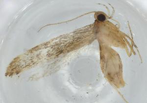  ( - BIOUG74455-C06)  @11 [ ] CreativeCommons - Attribution (2021) Centre for Biodiversity Genomics Centre for Biodiversity Genomics