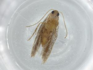  ( - BIOUG74455-F01)  @11 [ ] CreativeCommons - Attribution (2021) Centre for Biodiversity Genomics Centre for Biodiversity Genomics