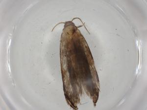  ( - BIOUG75025-B06)  @11 [ ] CreativeCommons - Attribution (2021) Centre for Biodiversity Genomics Centre for Biodiversity Genomics