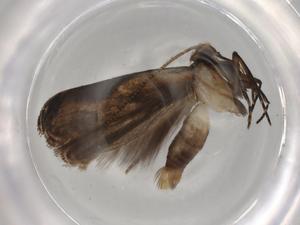  ( - BIOUG92538-H04)  @11 [ ] CreativeCommons - Attribution (2022) Centre for Biodiversity Genomics Centre for Biodiversity Genomics