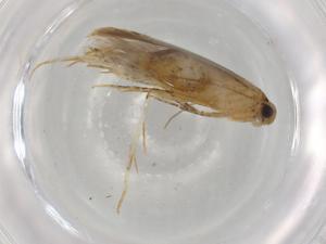  ( - BIOUG92543-G10)  @11 [ ] CreativeCommons - Attribution (2022) Centre for Biodiversity Genomics Centre for Biodiversity Genomics