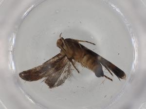  ( - BIOUG99470-B10)  @11 [ ] CreativeCommons - Attribution (2023) Centre for Biodiversity Genomics Centre for Biodiversity Genomics