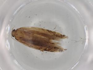  ( - BIOUG99470-E05)  @11 [ ] CreativeCommons - Attribution (2023) Centre for Biodiversity Genomics Centre for Biodiversity Genomics