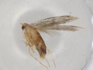  ( - CBG-A00154-B03)  @11 [ ] CreativeCommons - Attribution (2023) Centre for Biodiversity Genomics Centre for Biodiversity Genomics