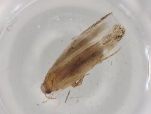  ( - CBG-A00159-D08)  @11 [ ] CreativeCommons - Attribution (2023) Centre for Biodiversity Genomics Centre for Biodiversity Genomics