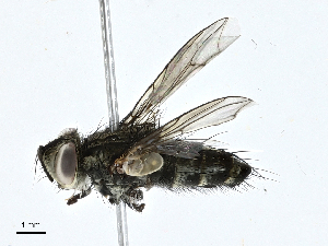  ( - CBG-A00282-E05)  @11 [ ] CreativeCommons - Attribution (2023) CBG Photography Group Centre for Biodiversity Genomics