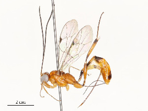  ( - CBG-A51902-D04)  @11 [ ] CreativeCommons - Attribution Share - Alike (2024) CBG Photography Group Centre for Biodiversity Genomics